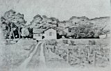 Vidović Winery ✶