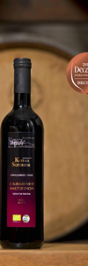CABERNET SAUVIGNON /polusuho/ - PZ Mas-Vin