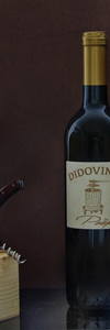 POŠIP - Didovinka