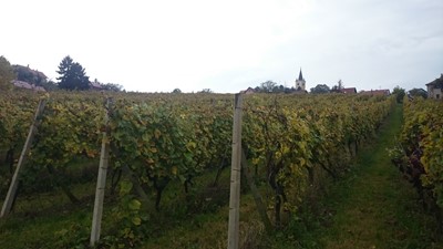 DSC_0005.JPG