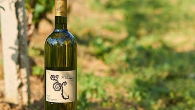 sauvignon 2015.jpg