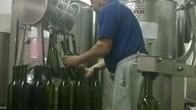 WP_20160514_002.jpg