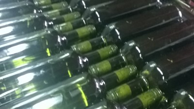 WP_20160514_004.jpg