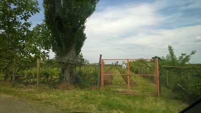 WP_20160519_001.jpg