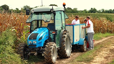 berba grožđa 2014.jpg