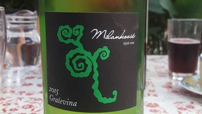 graševina berba 2015 od litre.jpg