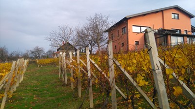 DSC_0187.JPG