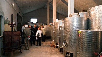 vinarija-02.jpg