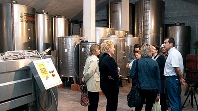 vinarija-04.jpg
