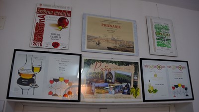 DSCF0937.JPG