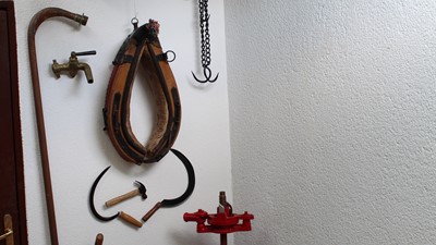 IMG_8436.JPG