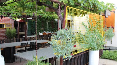 IMG_8448.JPG