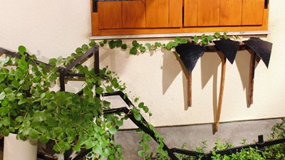 IMG_8494.JPG