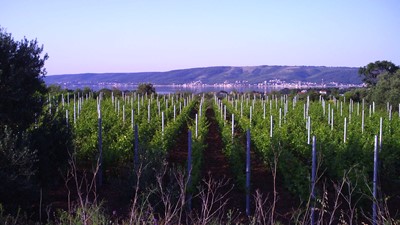 PICT0071.JPG