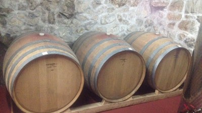 IMG_1580.JPG