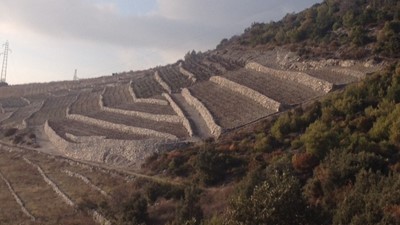 IMG_1585.JPG