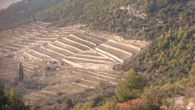 IMG_1590.JPG
