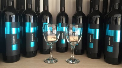 PINOT CRNI.jpg