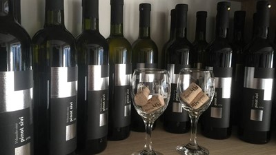 PINOT SIVI.jpg
