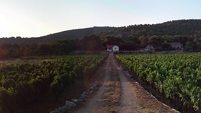 20150708_193700_Pano.jpg