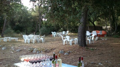 DSC_0030 (2).JPG