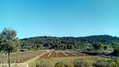 IMG_20170410_165523.jpg