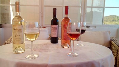 IMG_20170410_170725.jpg