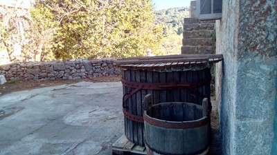 IMG_20170410_171550.jpg