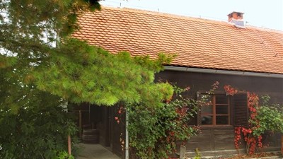 vinarija-miklauzic-16.jpg