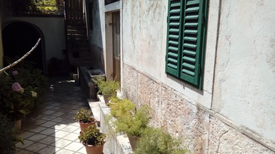 20170721_145512.jpg