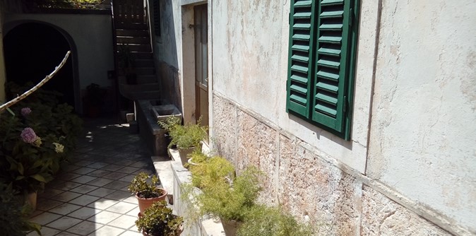 20170721_145512.jpg