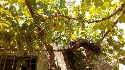 20170721_145616.jpg