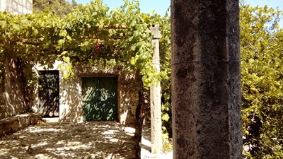20170721_145814.jpg