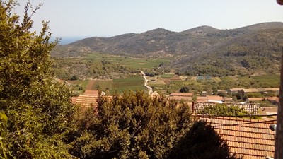20170721_145821.jpg