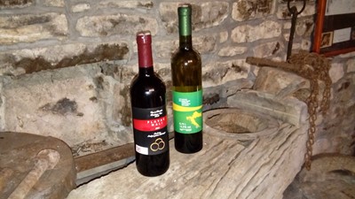 20170721_142035.jpg