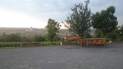 DSC_0138.JPG