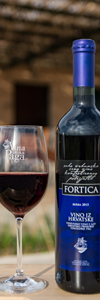FORTICA - Vina otoka Paga