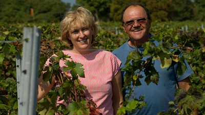 SLIKE ispod teksta o vinarije  (1).bmp