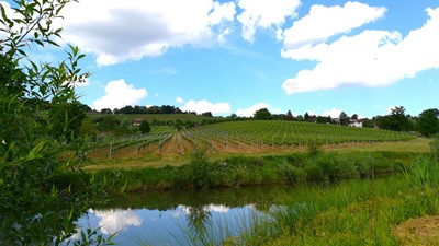 IMG_20170514_160424.jpg