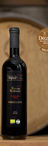 MERLOT /suho/ - PZ Mas-Vin