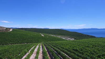 DJI_0173.JPG