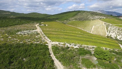 DJI_0230a.jpg