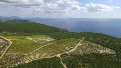 DJI_0240.JPG