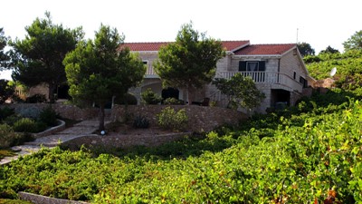 Villa-Dingac_Vina-Skaramuca_20.jpg