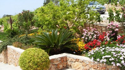 Villa-Dingac_Vina-Skaramuca_Peljesac_20.jpg