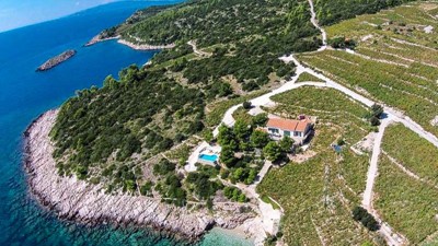 Vina-Skaramuca_vinogradi_Villa-Dingac_1.jpg