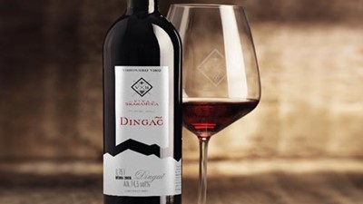 Vina-Skaramuca-Dingac_3_500x500px.jpg
