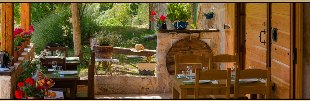podloga_za_glavne_slike_restorana_zbondini_000.png