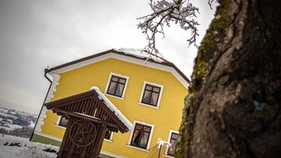 IMG_6254.jpg