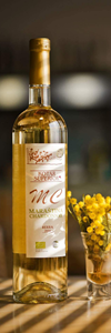 MARAŠTINA CHARDONNAY - PZ Mas Vin
